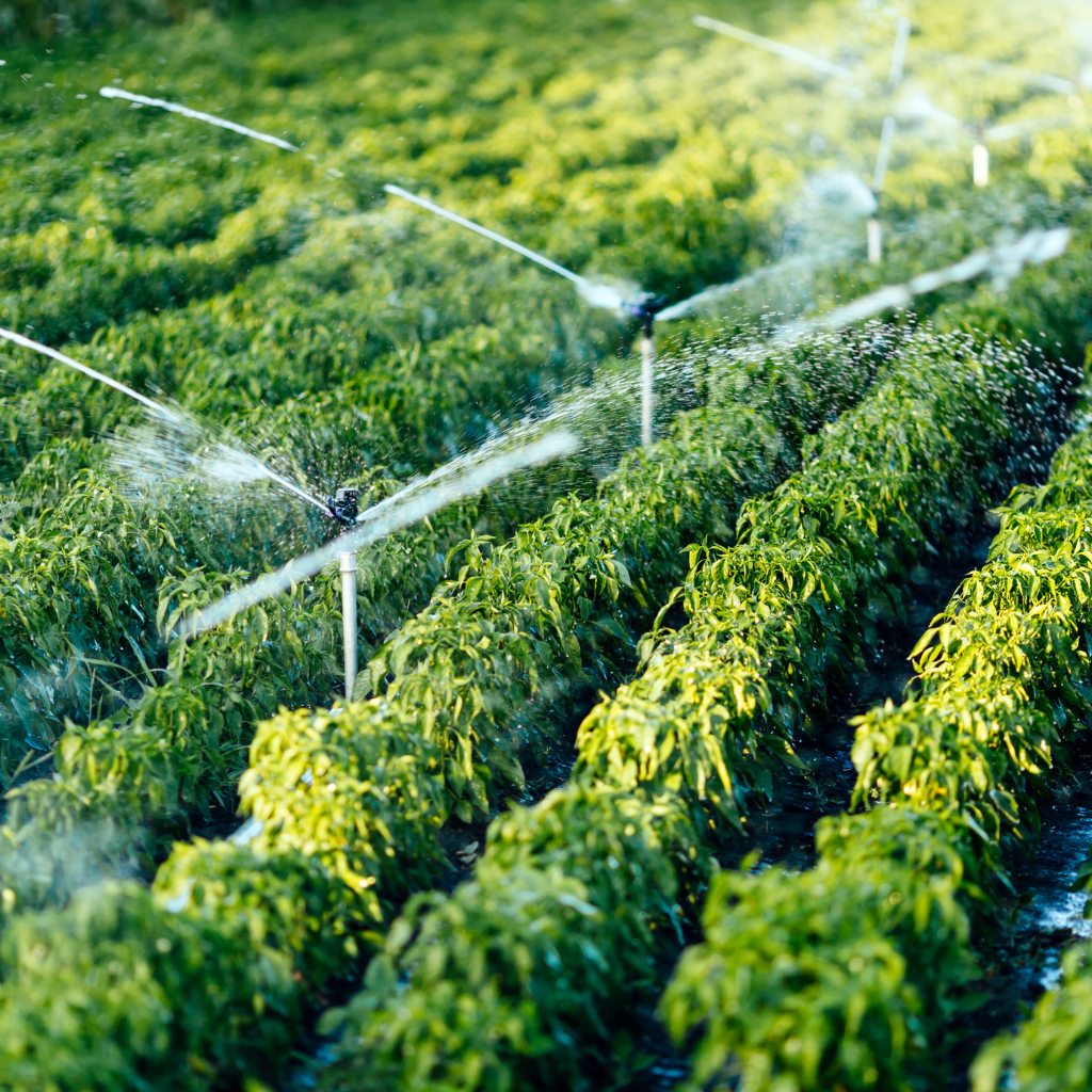 Irrigation Services and Its Importance in Dubai