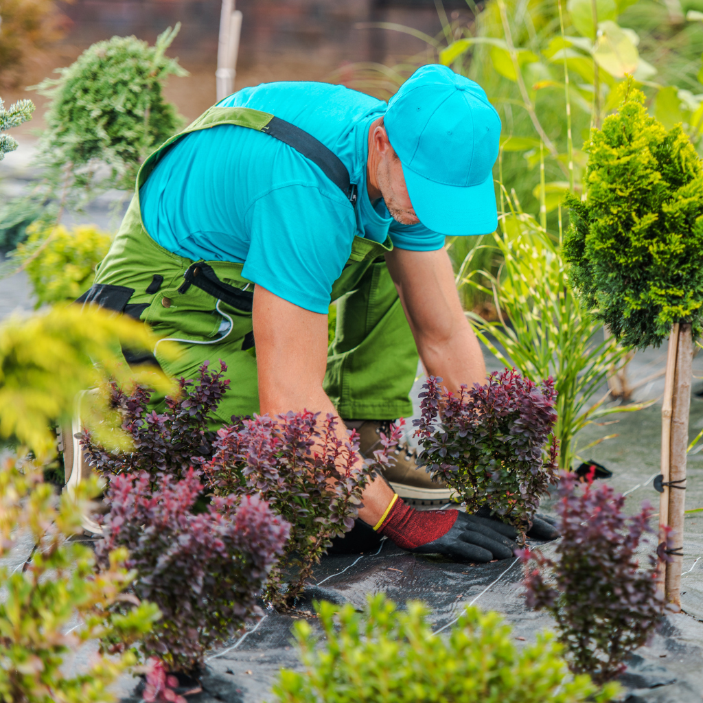 tips-for-garden-maintenance-in-dubai