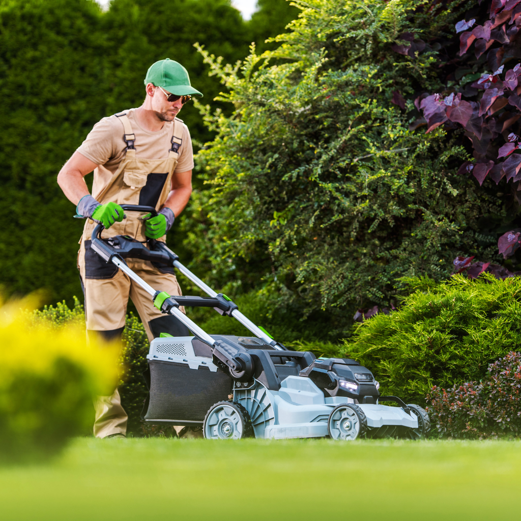 expert-lawn-mowing-service-provider-in-dubai