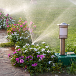 How Winter Irrigation Services Can Help Maintain Your UAE Landscape