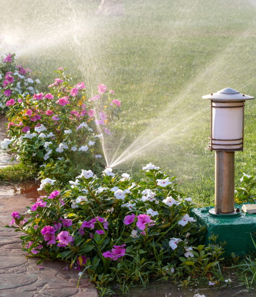 How Winter Irrigation Services Can Help Maintain Your UAE Landscape