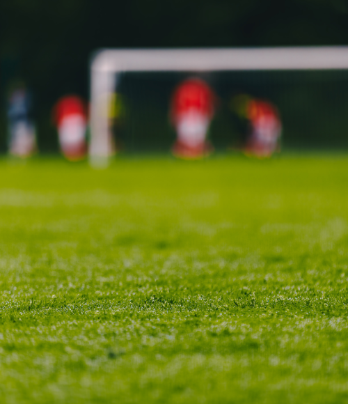 Benefits of Using Artificial Grass in School Sports Fields