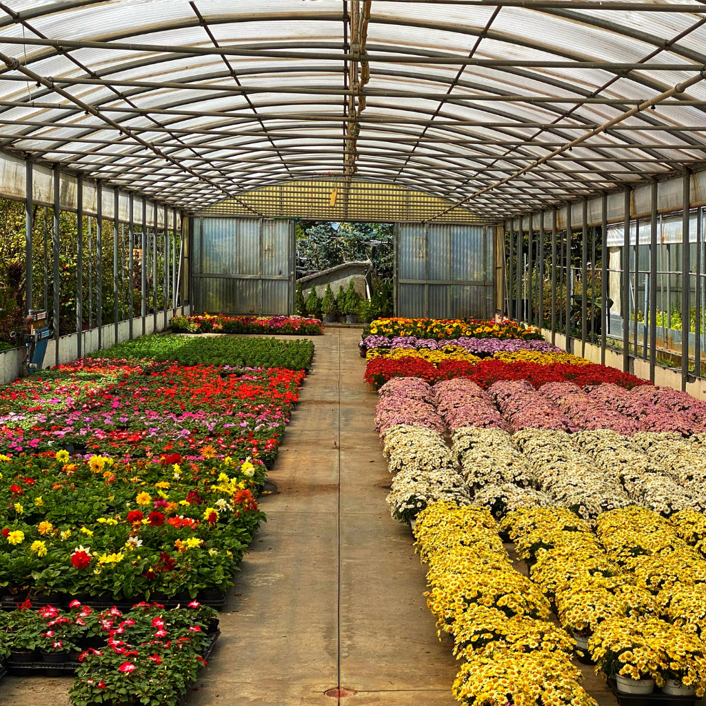 garden-nursery-in-dubai