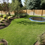 The Benefits of Installing Artificial Grass in Your Dubai Home