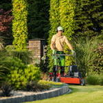 Seasonal Garden Maintenance Tips for Dubai Residents