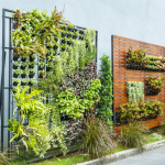 Transforming Small Outdoor Spaces: Vertical Gardening Ideas